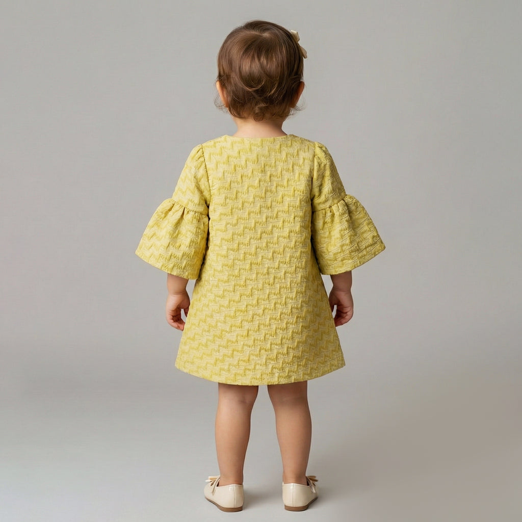 Toddler Textured Jacquard A-Line Dress with Bell Sleeves