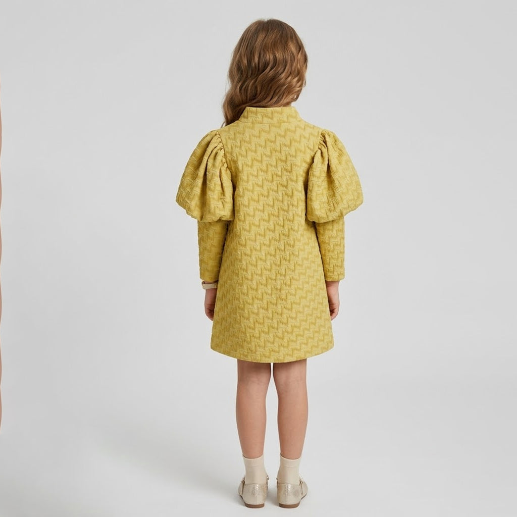 Girls' Seraphina Vintage-Inspired Jacquard Puff Sleeve Dress
