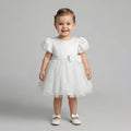 Toddler Embroidered Lace & Tulle Party Dress