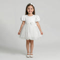 Girls' Elegant Embroidered Tulle Gala Dress