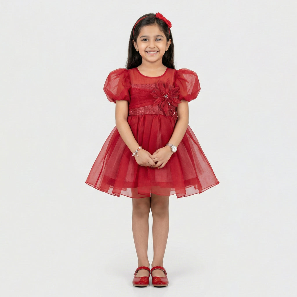 Girls’ Elegant Floral Applique Occasion Dress