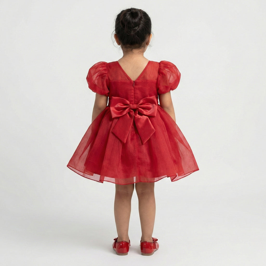 Girls’ Floral Applique Tulle Occasion Dress